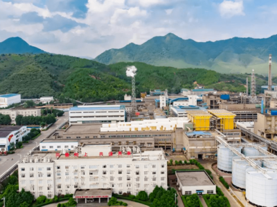 深圳市中金嶺南有色金屬股份有限公司丹霞冶煉廠